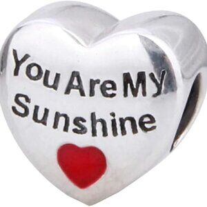 Silver Heart Charm with Red Accent